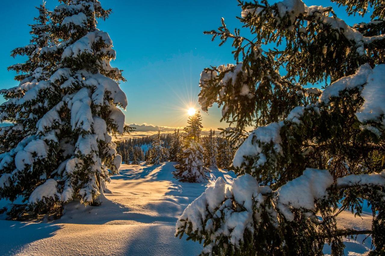 Biberhof Villa Radstadt Exteriör bild